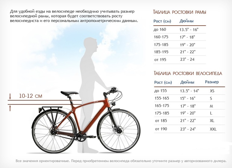 How to choose a bike by height