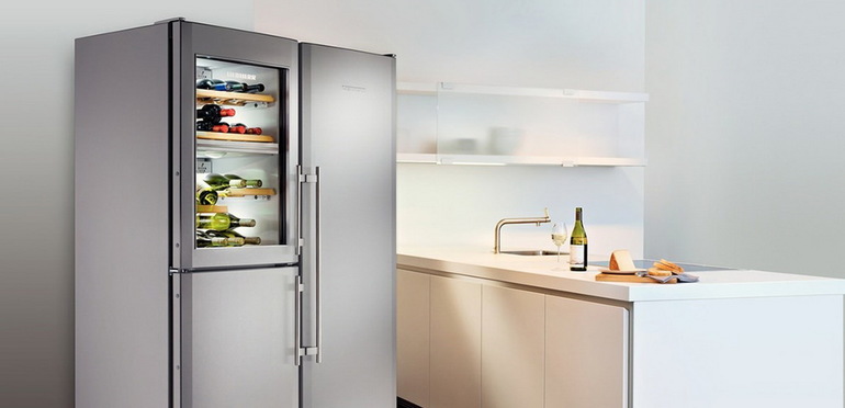 Manières d'organiser un congélateur dans les réfrigérateurs