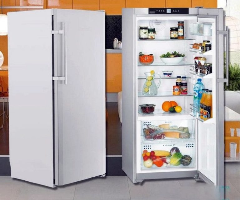 Rating of the best large refrigerators